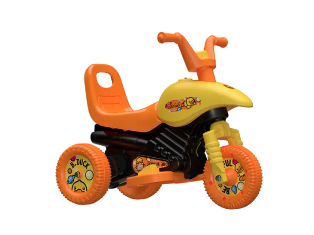 b voitures à canard